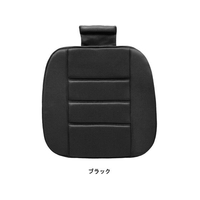 ボンフォーム メッシュフィット (ヒップ型) BK FCS1648-5339-43BK