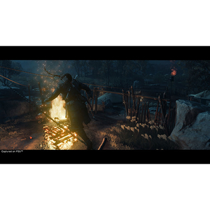 SIE Ghost of Tsushima Director’s Cut【PS4】 PCJS66083-イメージ10
