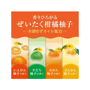 アース製薬 温泡 とろり炭酸湯 柑橘柚子 12錠入 F036645-イメージ6