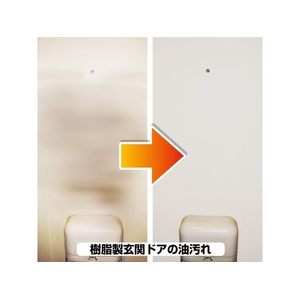 カンペハピオ 復活洗浄剤 玄関ドア用 100ml FCB753M-イメージ5