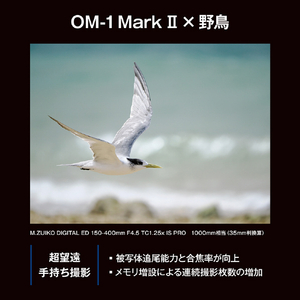 OMデジタルソリューションズ デジタル一眼カメラ・12-40mm F2．8 PRO IIキット OMSYSTEM OM-1 Mark II ブラック OM-1M2_1240-2-イメージ15
