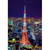 ビバリー 東京タワー ﾄｳｷﾖｳﾀﾜ--イメージ1