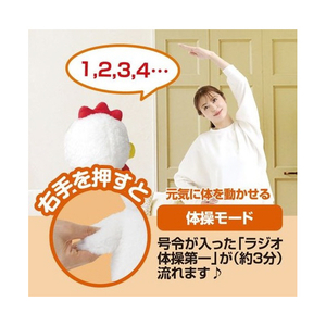 サンファミリー 体操コッコちゃん ﾀｲｿｳｺﾂｺﾁﾔﾝ-イメージ2