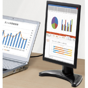 ITPROTECH 10．1型液晶ディスプレイ ブラック LCD10HCVA-IPS-イメージ5
