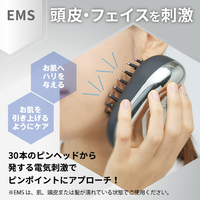 アデランス 32003819 電気ブラシ スマスビート |エディオン公式通販