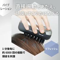 アデランス 32003819 電気ブラシ スマスビート |エディオン公式通販