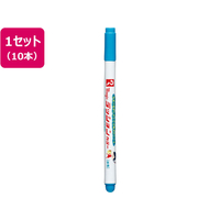 寺西化学工業 ラッションカラーNo.810 空 10本 FCE344L-M810-T11