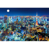 ビバリー 東京夜景 1000マイクロピース BVM81607ﾄｳｷﾖｳﾔｹｲ
