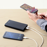 サンワサプライ BTL-RDC26 USB PD対応モバイルバッテリー(20100mAh