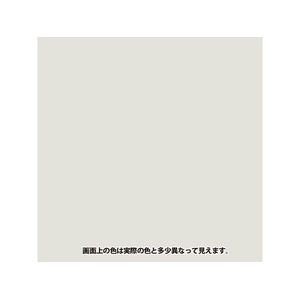 カンペハピオ ヌーロ 銀 70ml FCB638M-イメージ2