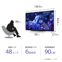 SONY 48V型4K対応有機ELテレビ BRAVIA XRJ-48A90K ソニー XRJ-48A90K 48V型 4K 有機ELテレビ BRAVIA XR XRJ48A90K
