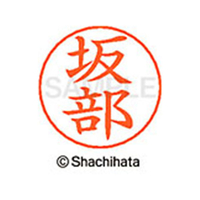 シヤチハタ ネームペン用ネーム シルバー 既製 坂部 FC46942-X-GPS-1171