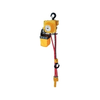 遠藤工業 エアーホイスト AT-125K 125kg 3m FC793HC-3209997