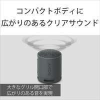 SONY SRS-XB100D ワイヤレスポータブルスピーカー オレンジ|エディオン