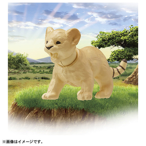 タカラトミー アニア AC-01 ライオン(子ども) ｱﾆｱAC01ﾗｲｵﾝｺﾄﾞﾓ-イメージ5