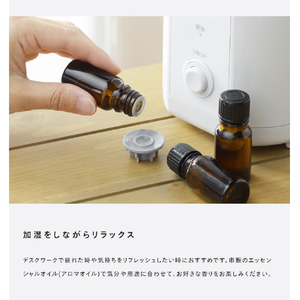 ツインバード スチーム式パーソナル加湿器 ホワイト SK-E961W-イメージ6