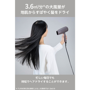 テスコム プロテクトイオン ヘアドライヤー グレー TD361A-H-イメージ4