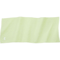 バタフライ サラフワリ・タオル FCD173L-77270-141