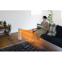 新品 パナソニック Hot&Cool ファンヒーター ベージュ Panasonic（パナソニック） 【長期5年保証付】 DS-FWX1201-C ベージュ