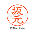 シヤチハタ ネームペン用ネーム シルバー 既製 坂元 FC46946-X-GPS-1175
