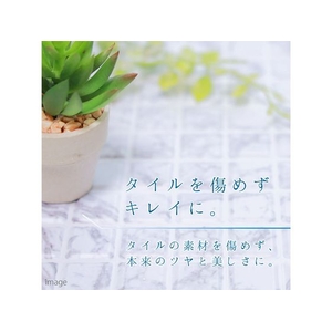 カンペハピオ 復活洗浄剤 タイル用 100ml FCB782M-イメージ2