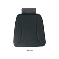 ボンフォーム ホールドメッシュ シングルクッション FCS1661-5537-43BK