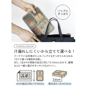 シービージャパン 抗菌フードマン 600ml グレーベージュ ｺｳｷﾝﾌ-ﾄﾞﾏﾝ600ｸﾞﾚ-BE-イメージ3