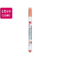 寺西化学工業 ラッションカラーNo.810 うす橙 10本 FCE348L-M810-T17