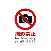 光 多国語ピクトサイン 撮影禁止 FC143GM-1950172