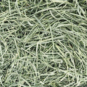 ナチュラルペット アニマルファーム おいしい牧草 500g FC416RW-イメージ2