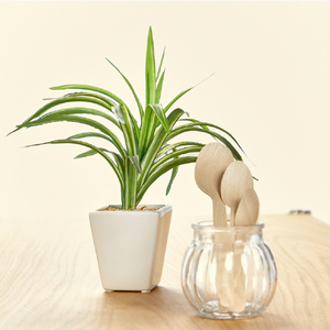 トラスコ 木製スプーン　全長１４０ｍｍ　１００本入 WSP-140-イメージ5