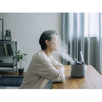 美品✨Panasonic EH-SA70-H GRAY 概要 スチーマー ナノケア EH-SA70 | フェイスケア（スチーマー