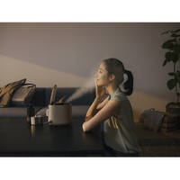 パナソニック EH-SA70-H スチーマー ナノケア グレージュ|エディオン