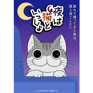 abbi FRIENDS iPhone 15用夜は猫といっしょソフトクリアケース キュルガ(withフータ) ABF26618I15-イメージ3