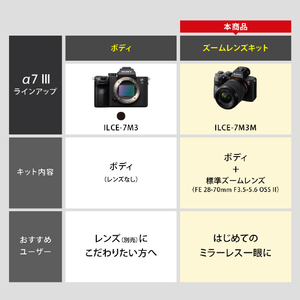 SONY ミラーレス一眼カメラ α ILCE-7M3M-イメージ13