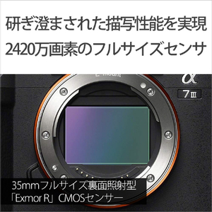 SONY ミラーレス一眼カメラ α ILCE-7M3M-イメージ4