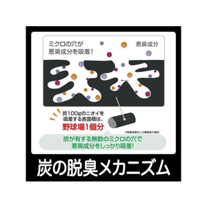 エステー クルマの脱臭炭 シート下専用 200g FC24324-イメージ3