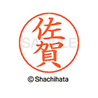 シヤチハタ ネームペン用ネーム シルバー 既製 佐賀 FC46952-X-GPS-1181