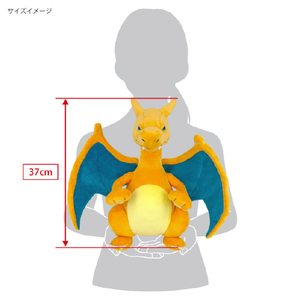 三英貿易 ポケットモンスター ALL STAR COLLECTION PP300 リザードン(M) ﾎﾟｹﾓﾝPP300ﾘｻﾞ-ﾄﾞﾝM-イメージ6