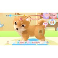 わんにゃん 日本コロムビア HACPA3F8A わんニャンペットショップ かわいい