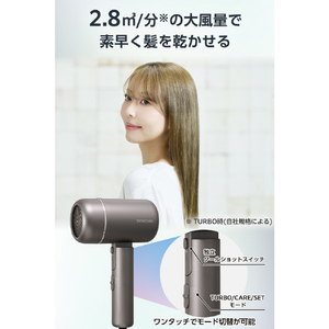 テスコム プロテクトイオン ヘアドライヤー グレー TD462A-H-イメージ3