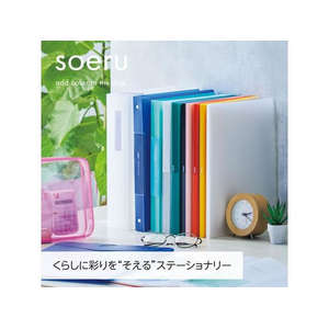 リヒトラブ soeru クリヤーブック A4 ポケット交換30穴 アイスブルー10冊 FC375NU-N8501-14-イメージ2