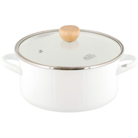 ＬＩＶ ＰＬＵＳ ベストコ 両手鍋 ホーロー キャセロール 22cm ガラス蓋付 FCE139W-NQ-0254