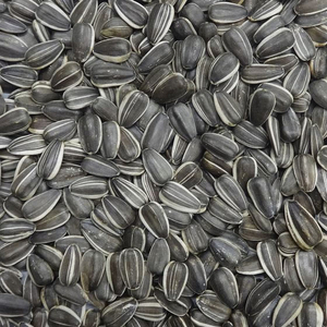 ナチュラルペット プレミアム 大粒ひまわり 1.1kg FC423RW-イメージ2