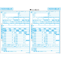 ヒサゴ 給与支払報告書(個人別明細書)A4 2面30枚 FCK853C-OP1195MJR