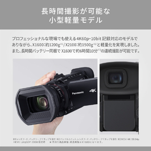 パナソニック デジタル4Kビデオカメラ HC-X2100-イメージ9