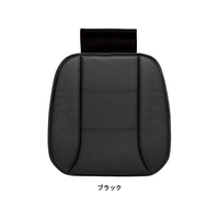 ボンフォーム アドバンスレザー 45×45cm (ヒップ型) BK FCS1692-5744-43BK