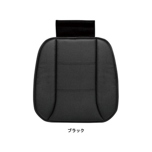 ボンフォーム アドバンスレザー 45×45cm (ヒップ型) BK FCS1692-5744-43BK-イメージ1