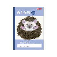 サクラクレパス 学習帳 自主学習 方眼罫5ミリ FCG964U-NJ110