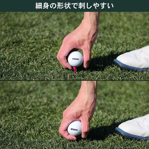 タバタ プラスリム ショートティー FCE358S-GV0479-イメージ3